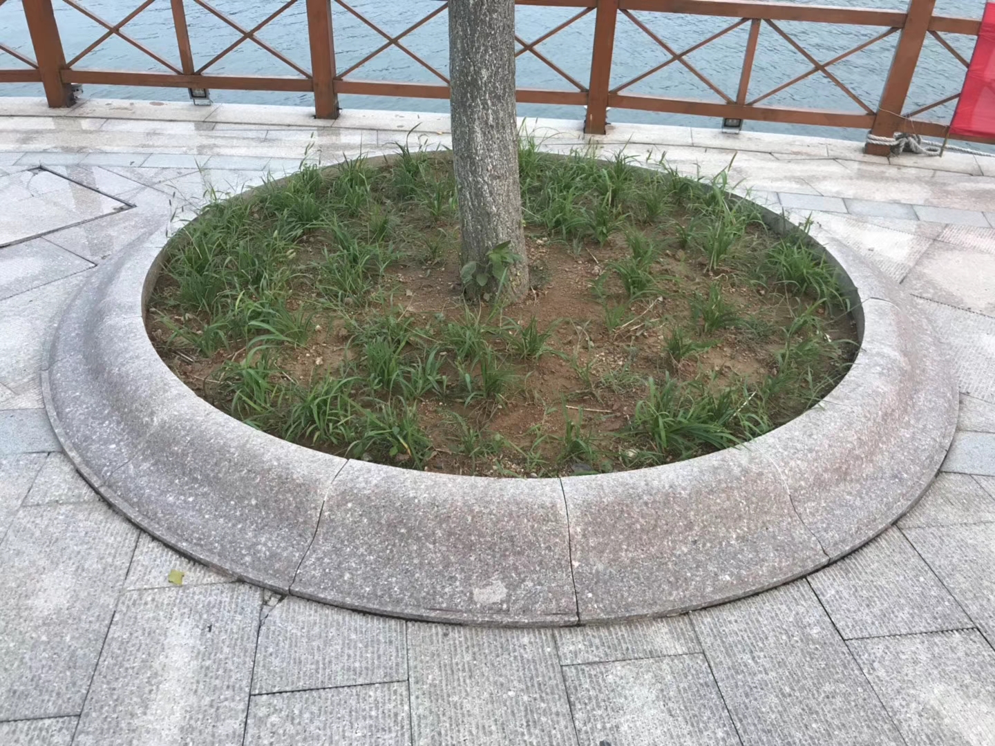 树坑石,五莲花树坑石,树池石,树边石,花岗岩树框石,树围石