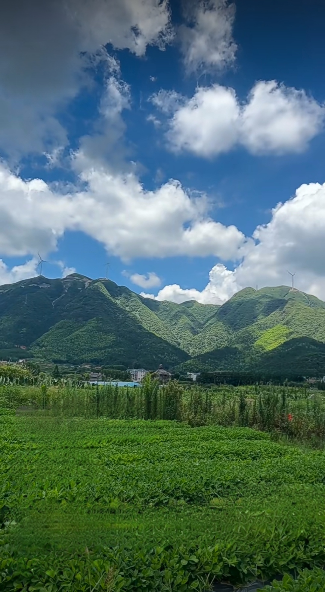 大山美景,永恒的景色