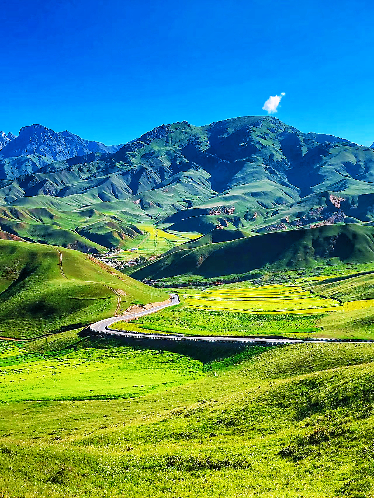 在青海的边边上,隐藏着一片被严重低估的秘境——祁连卓尔山.