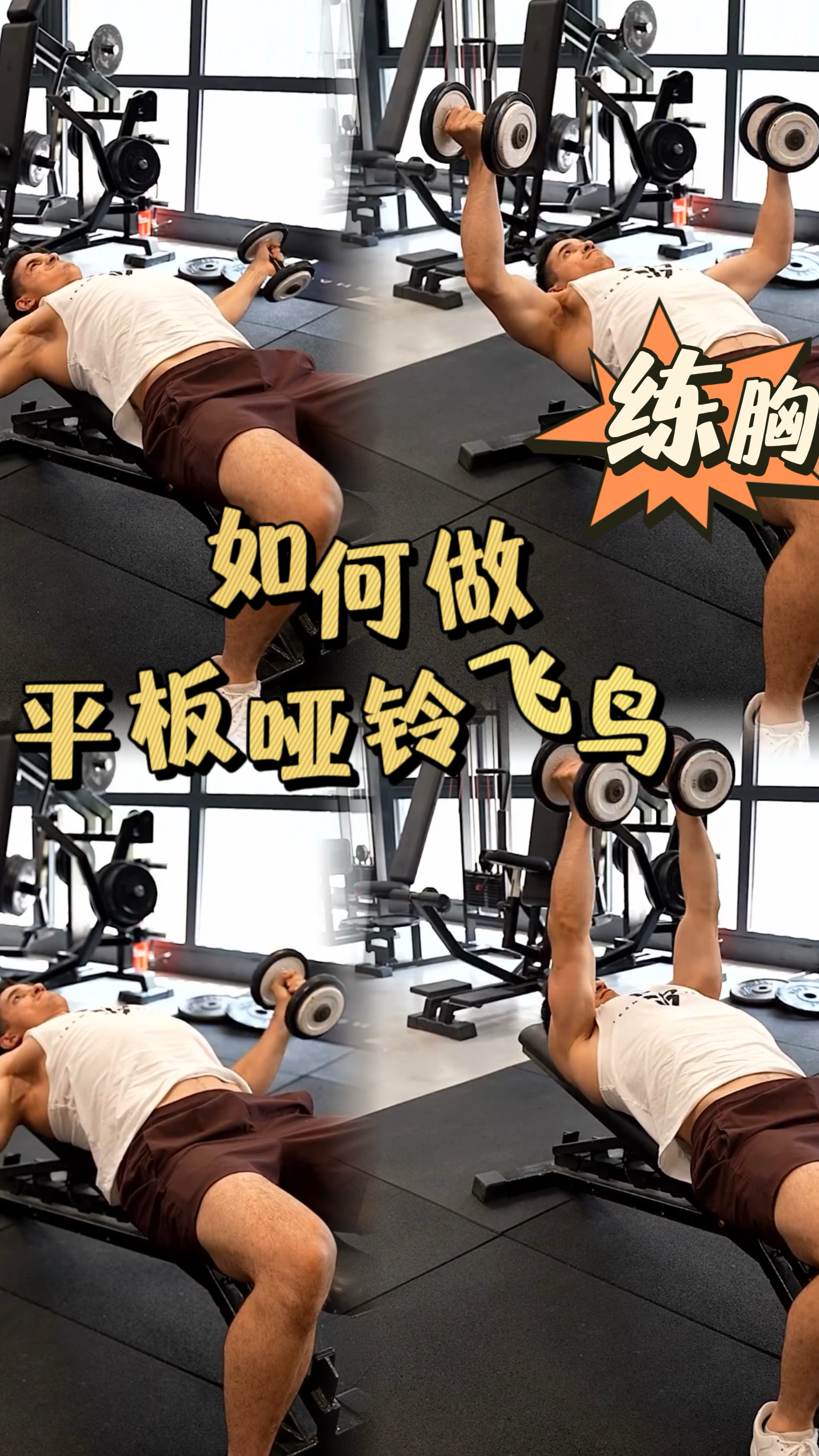 胸肌训练,如何做一个哑铃飞鸟?