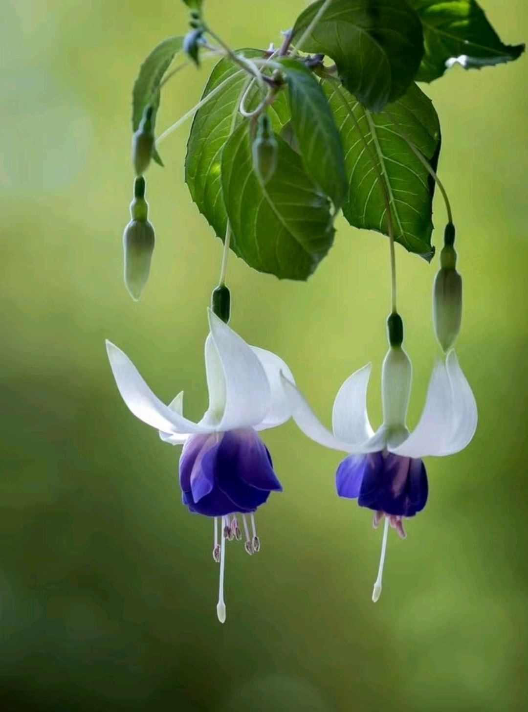 家人平安喜乐,其余都是锦上添花