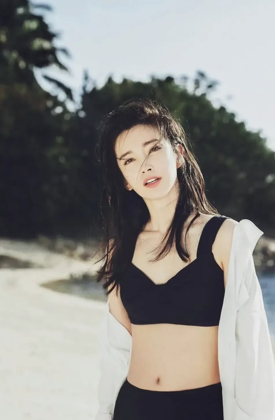 李冰冰,演艺界的常青树