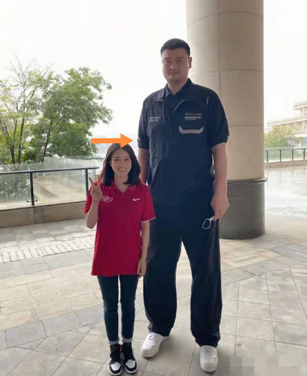 陈若琳与姚明,身高悬殊成趣谈.她以163cm亭亭玉立,他则226cm傲视群雄.