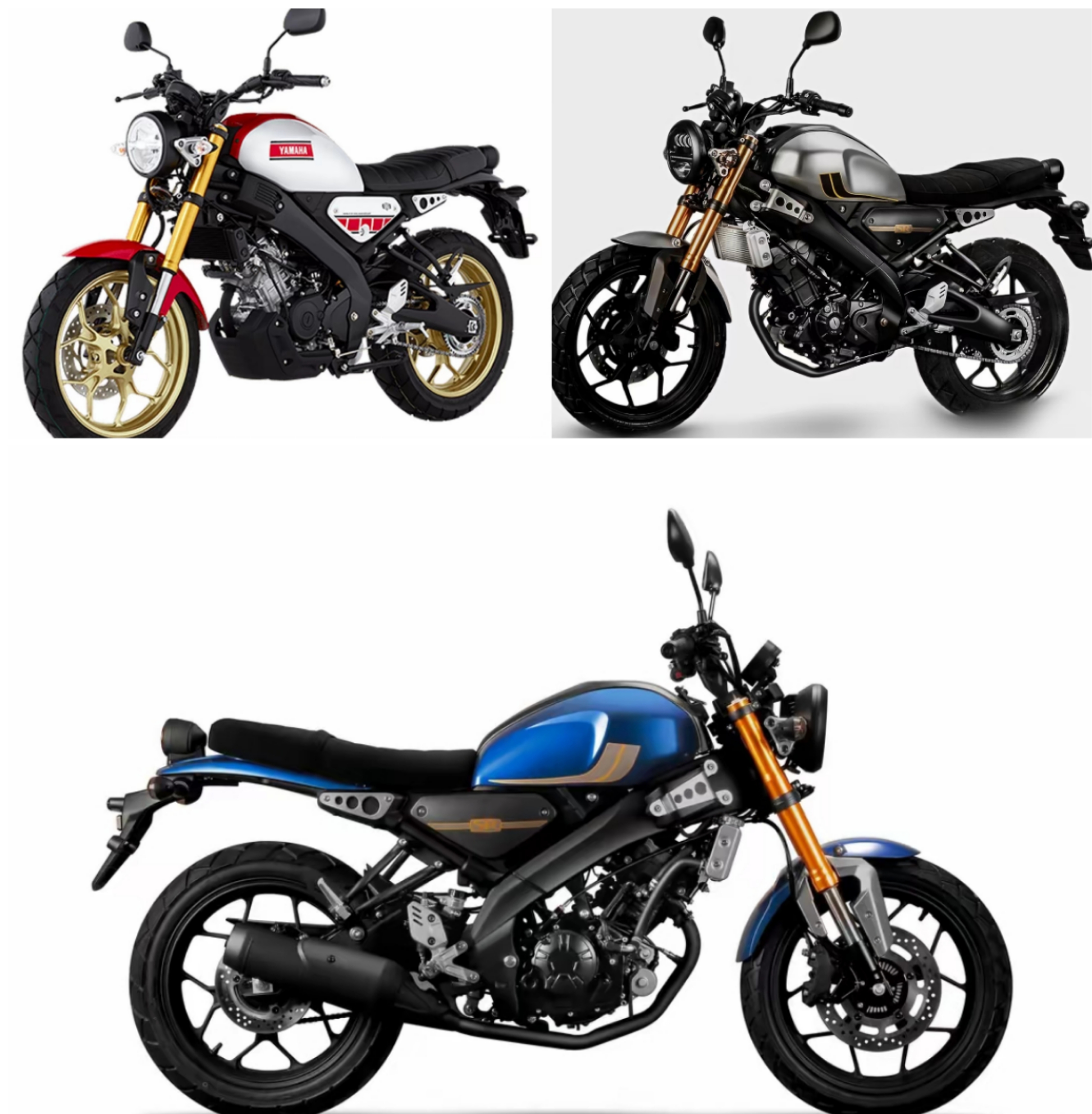 2024款飞鹰xf150r售价11800元,与雅马哈xsr155神似,你会怎么选?