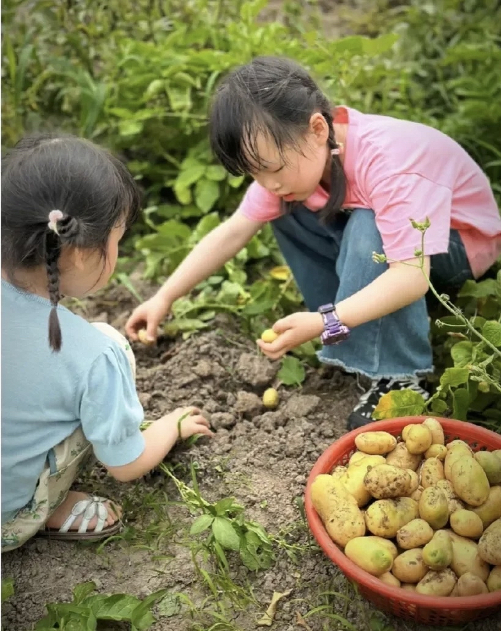 农村妇女带小孩图片