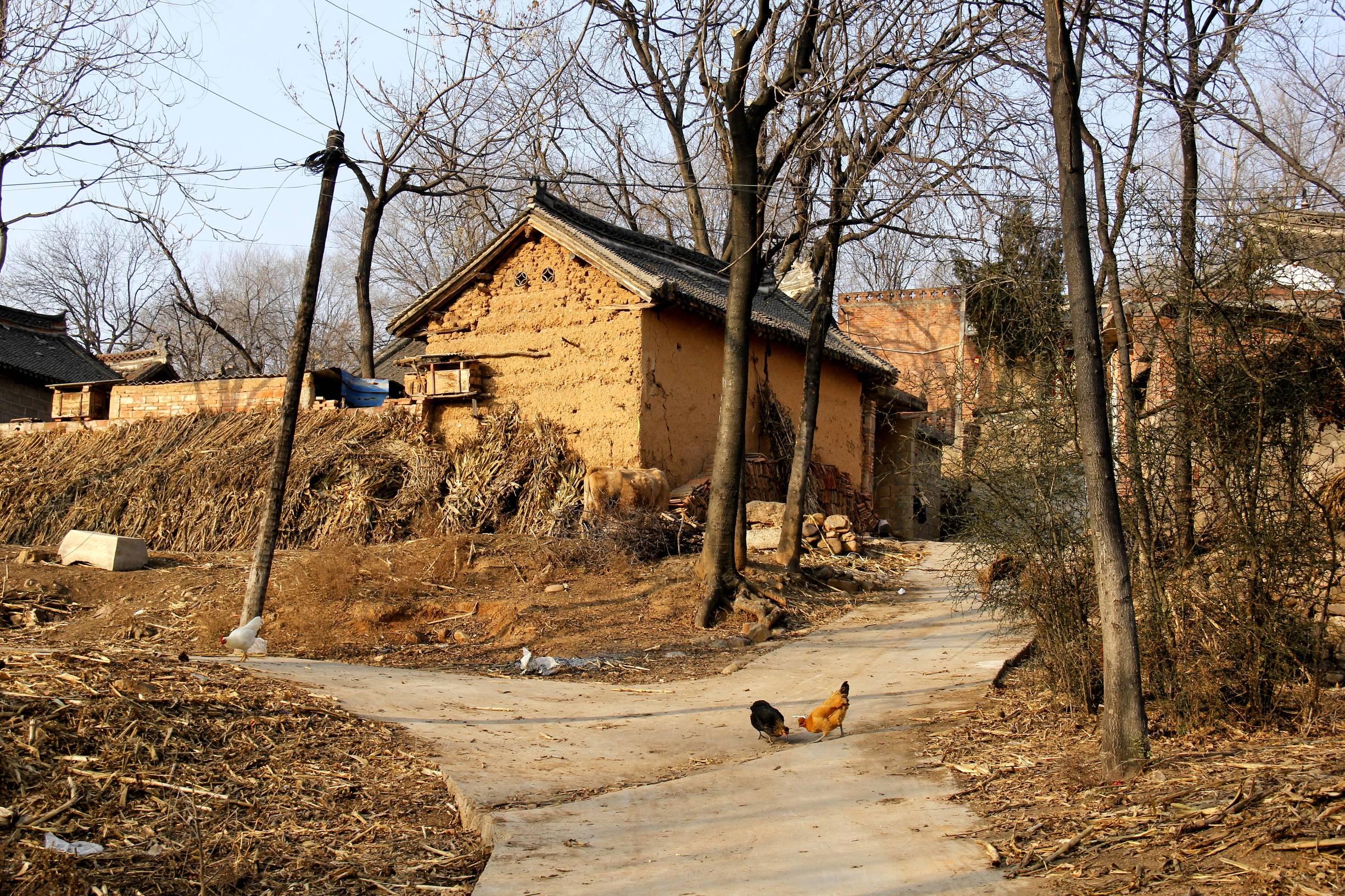 拥有一份儿正式编制工作,也要保护好宅基地和父母留下的老宅子!