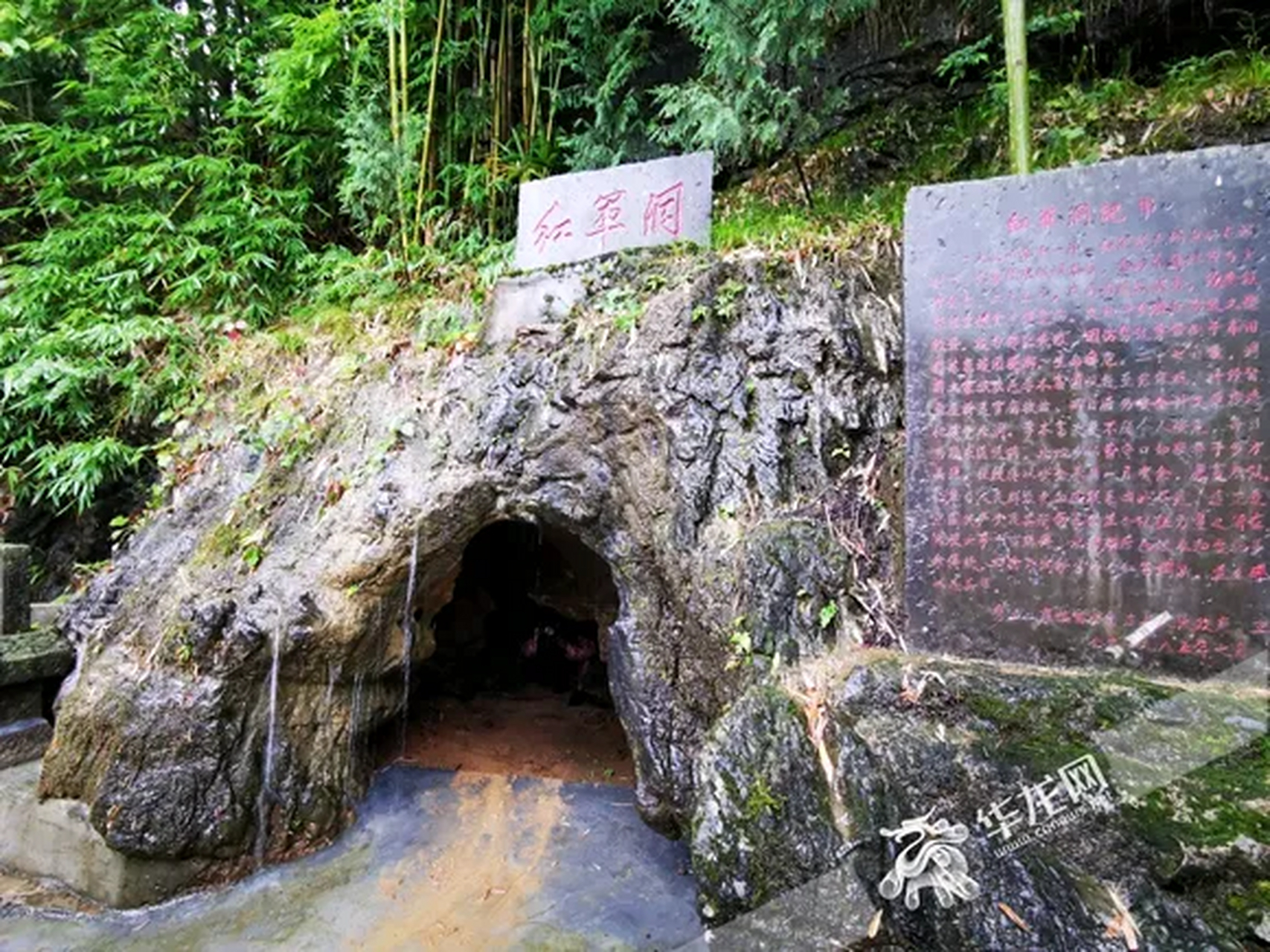 江西修水七里山怪事图片