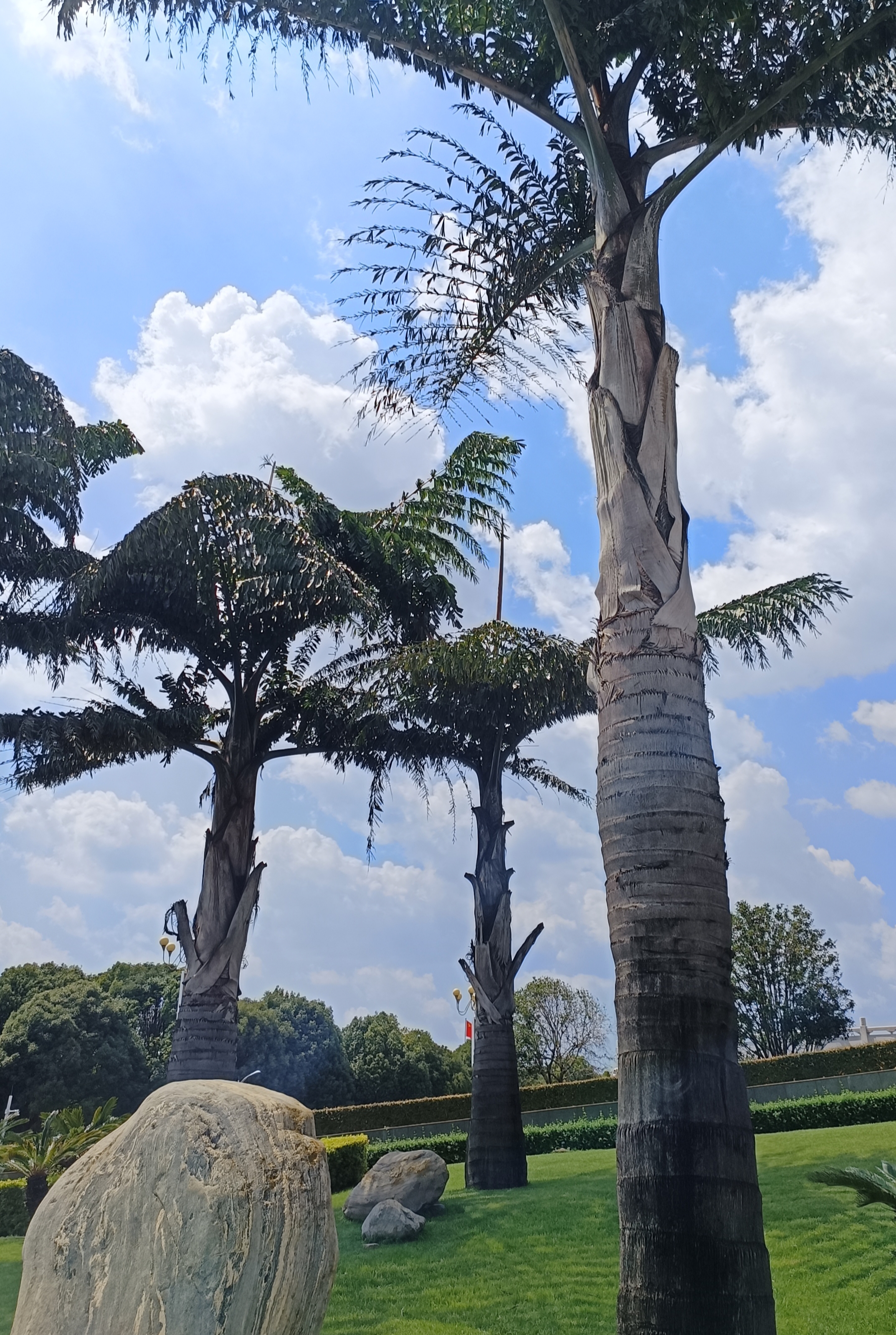 当你要去做一件事,但是又不想去做,但现实摆在你面前,你必须要去面对