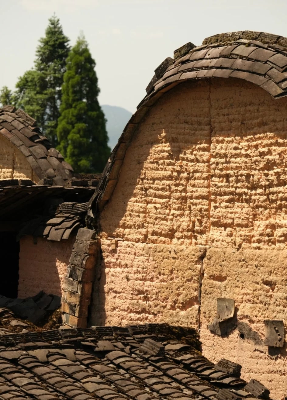 斑驳的墙壁,腐朽的梁柱,破旧的门窗上挂着蜘蛛网,绿色的苔藓布满台阶