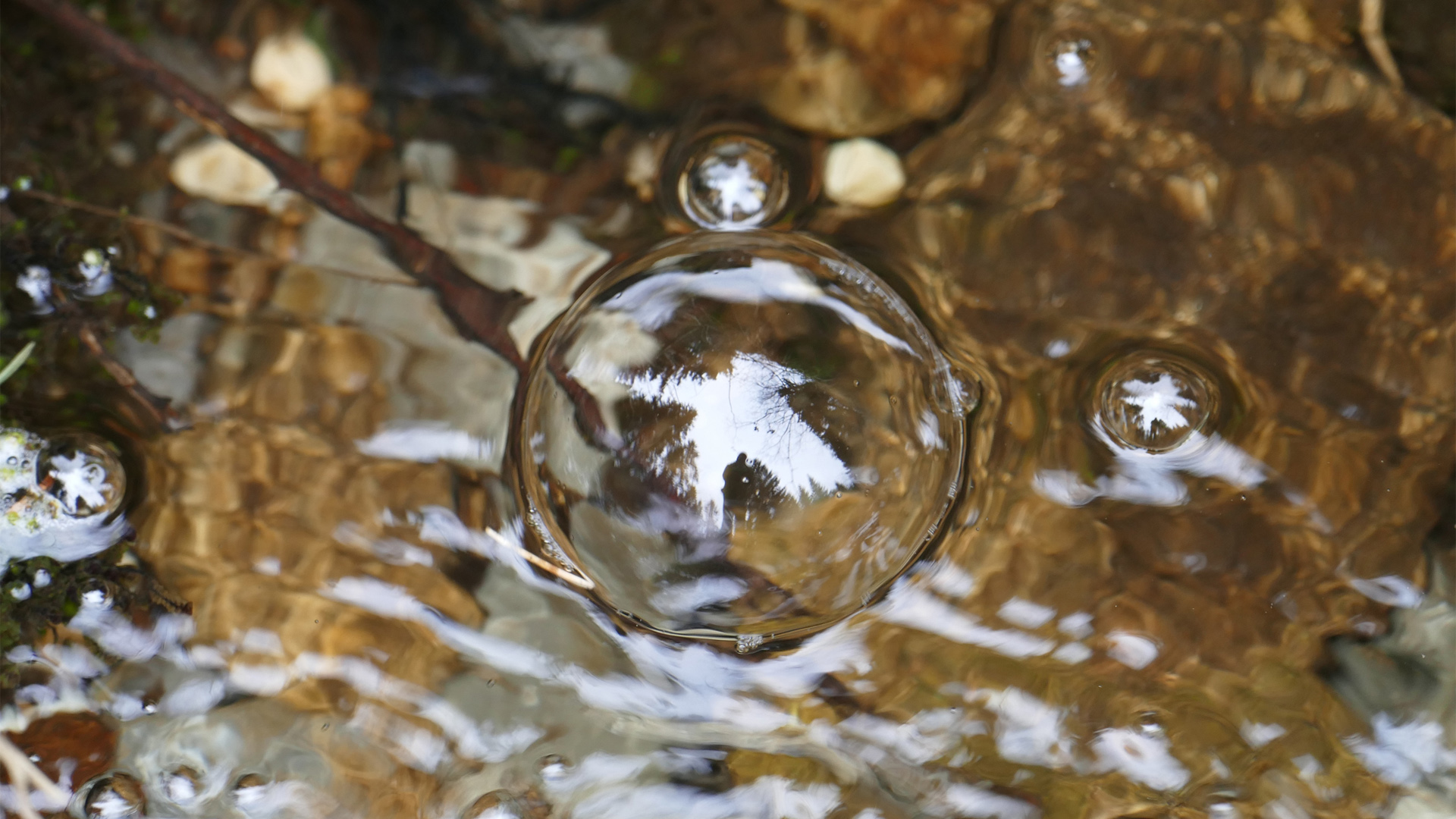 宅男找女友,线上线下全攻略,爱情不再遥不可及!