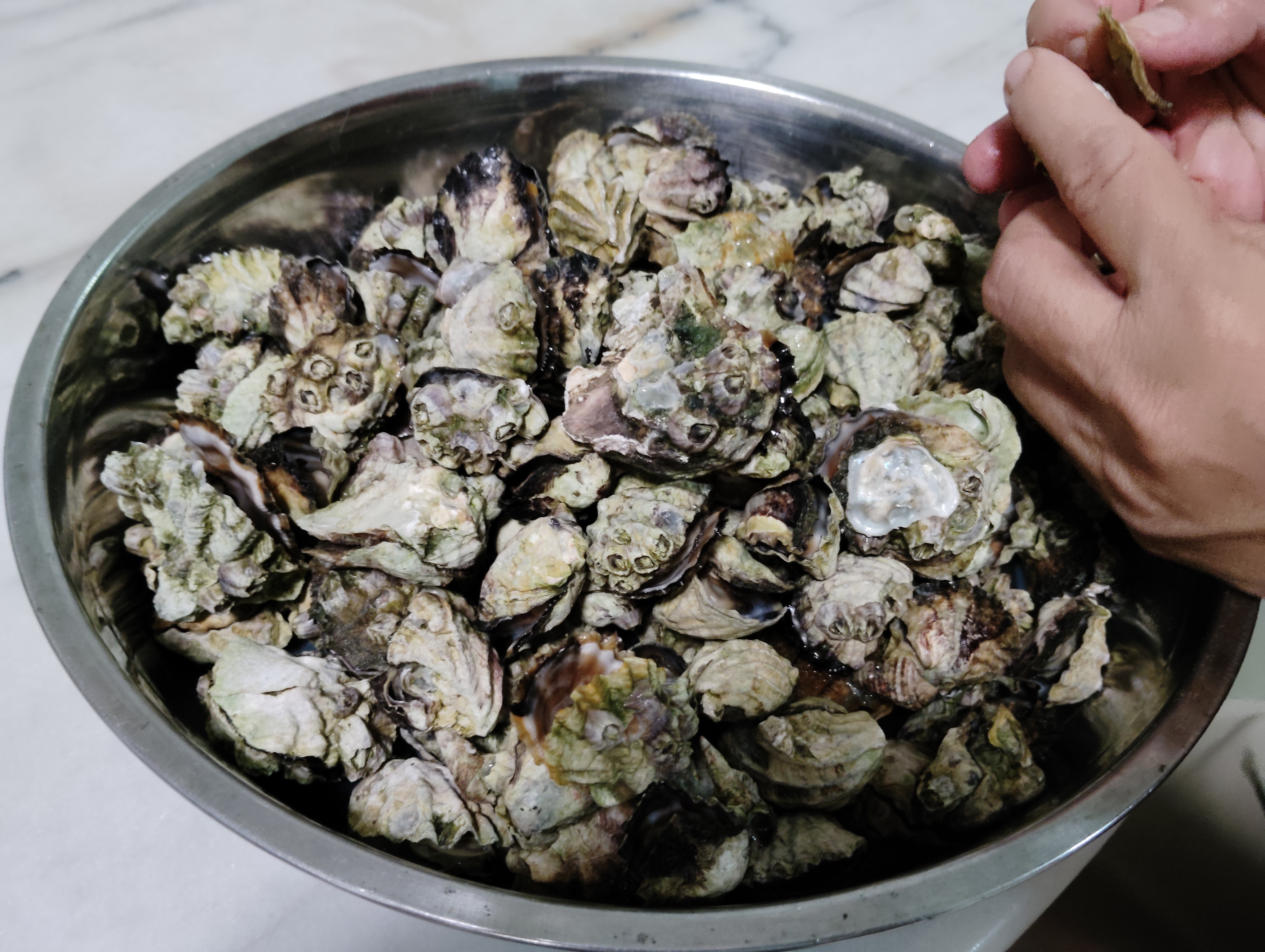 挖不到多少花甲icon,也抓不到几个虾蟹icon,捡了一大堆小生蚝icon