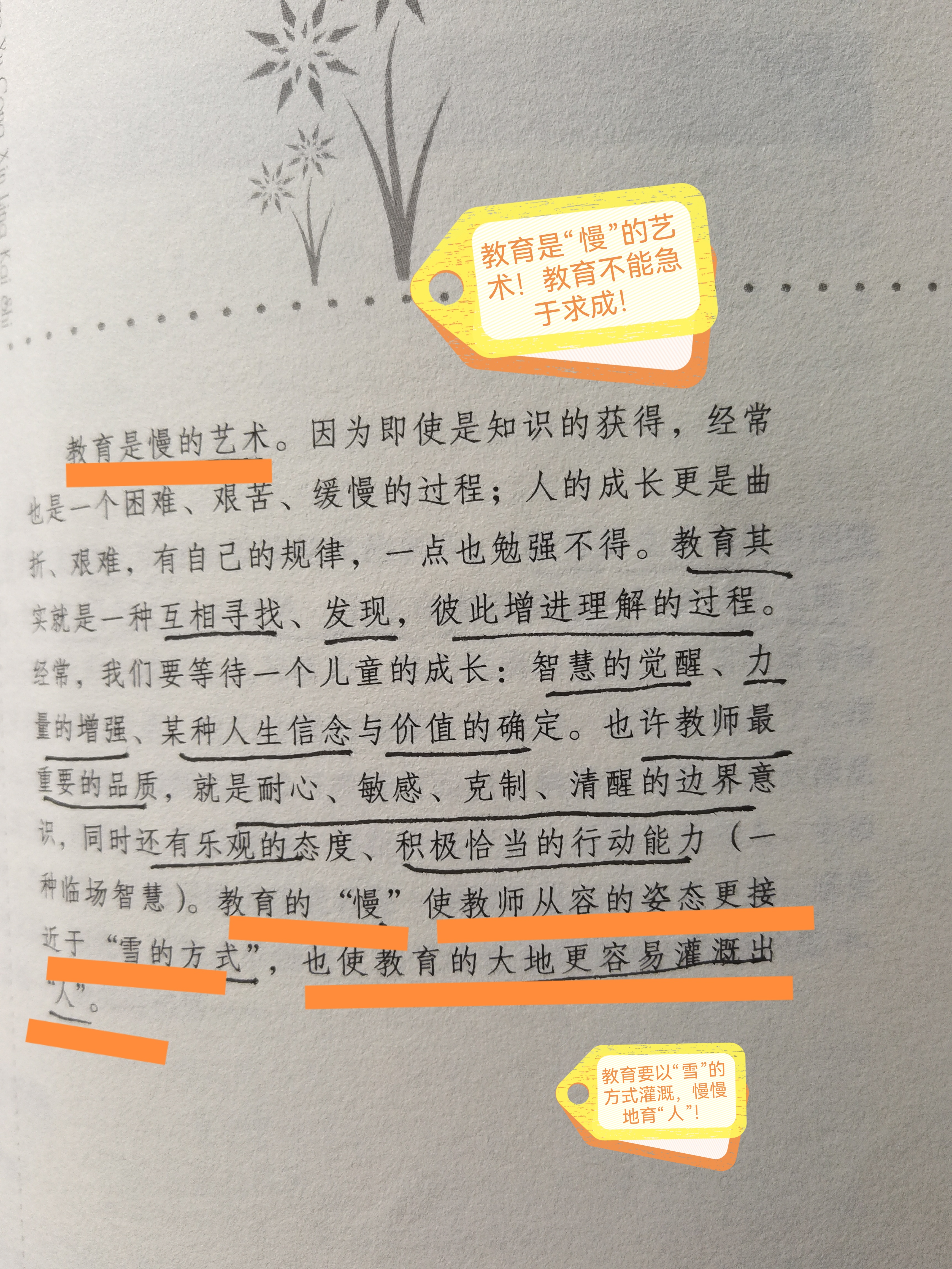 信念的正确理解与实际应用(信念观点)