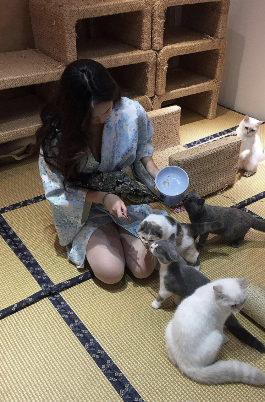 谁能像小猫咪一样享受美女的跪式服务?