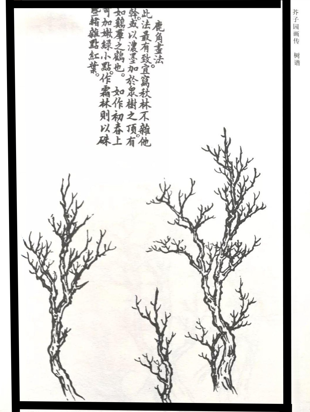 《芥子园画传》树法十九式之九 鹿角画法断句