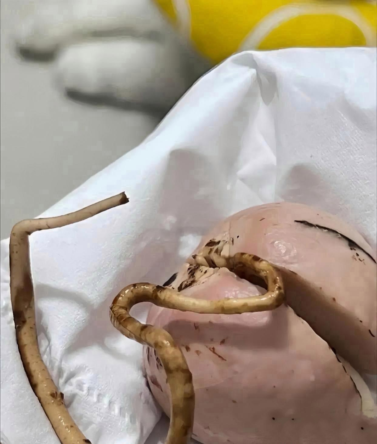 "表姐呀,我了解你对电视的喜爱程度那可是相当深呢