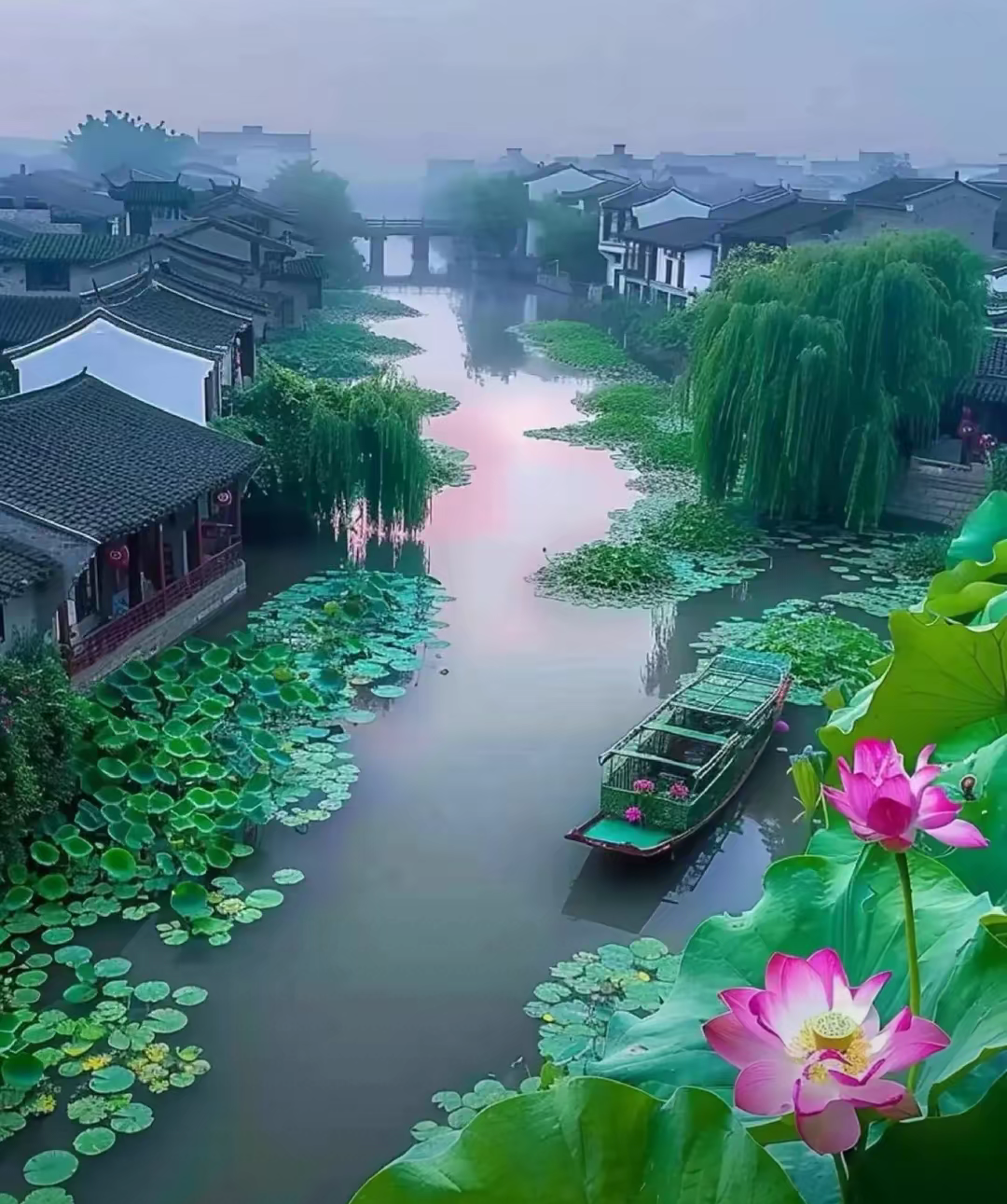 每一次停留,都是为了记忆的花开