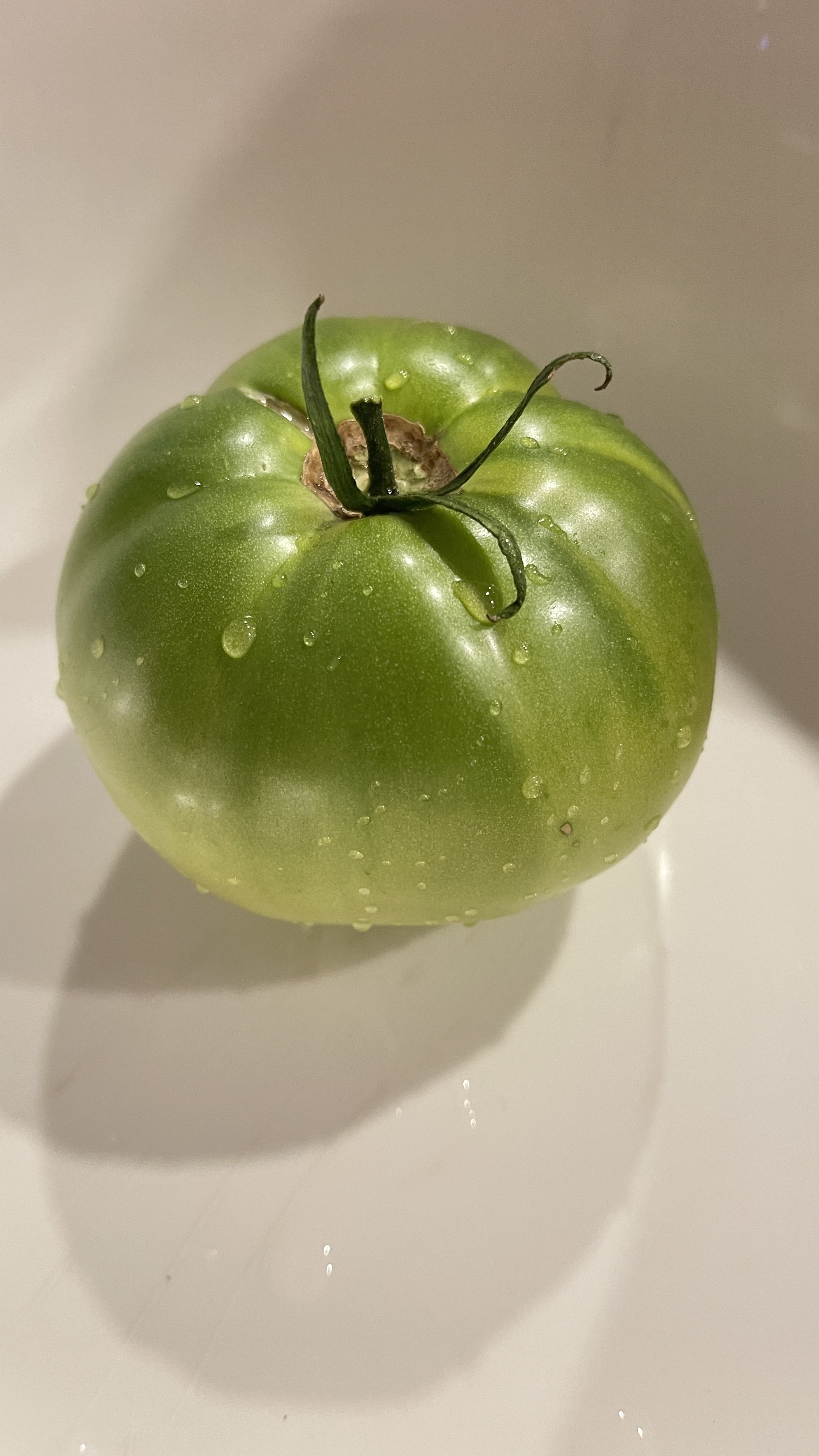 早晨啃我的大绿柿子 人家的西红柿 我的是西绿柿 个头大得没朋友 大得