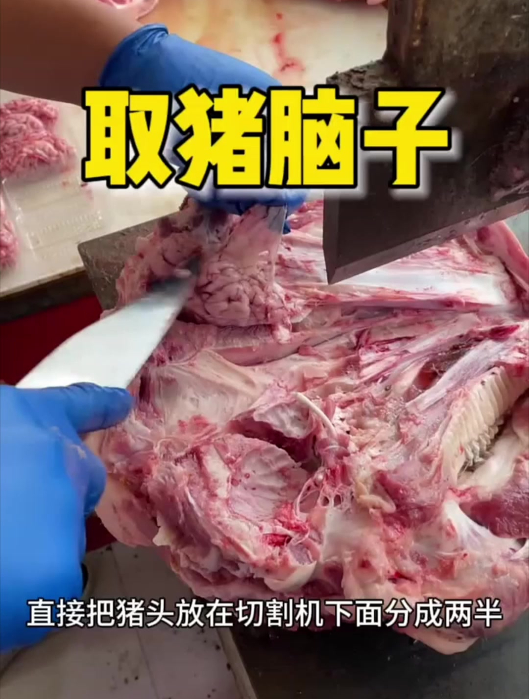 去猪脑子的小神器