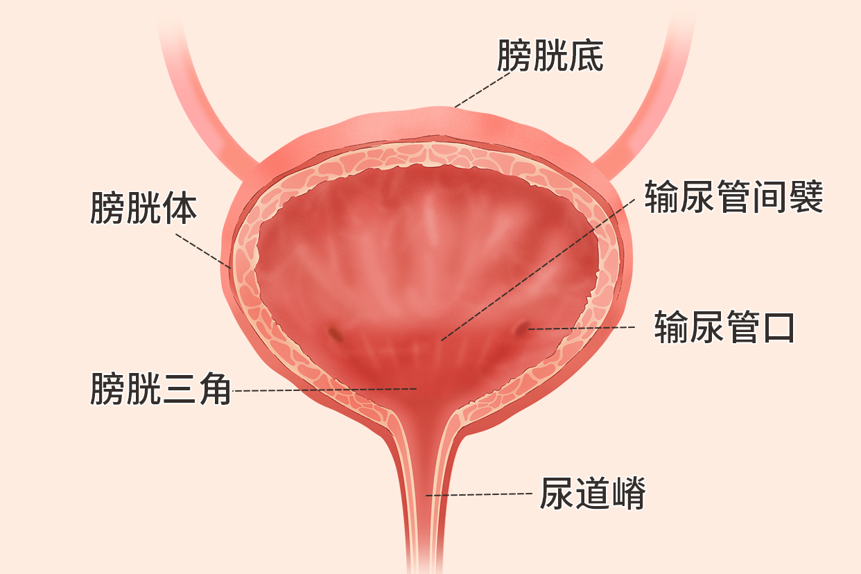 听医生说说