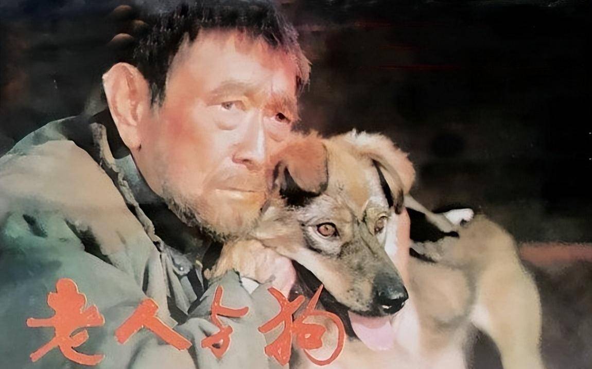 30年前银川男子带狗参演谢晋电影,2年后人与狗都被处决,为何?