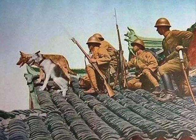 千古笑柄的兰封会战:几十万精锐中央军,为何拿不下日军1个师团