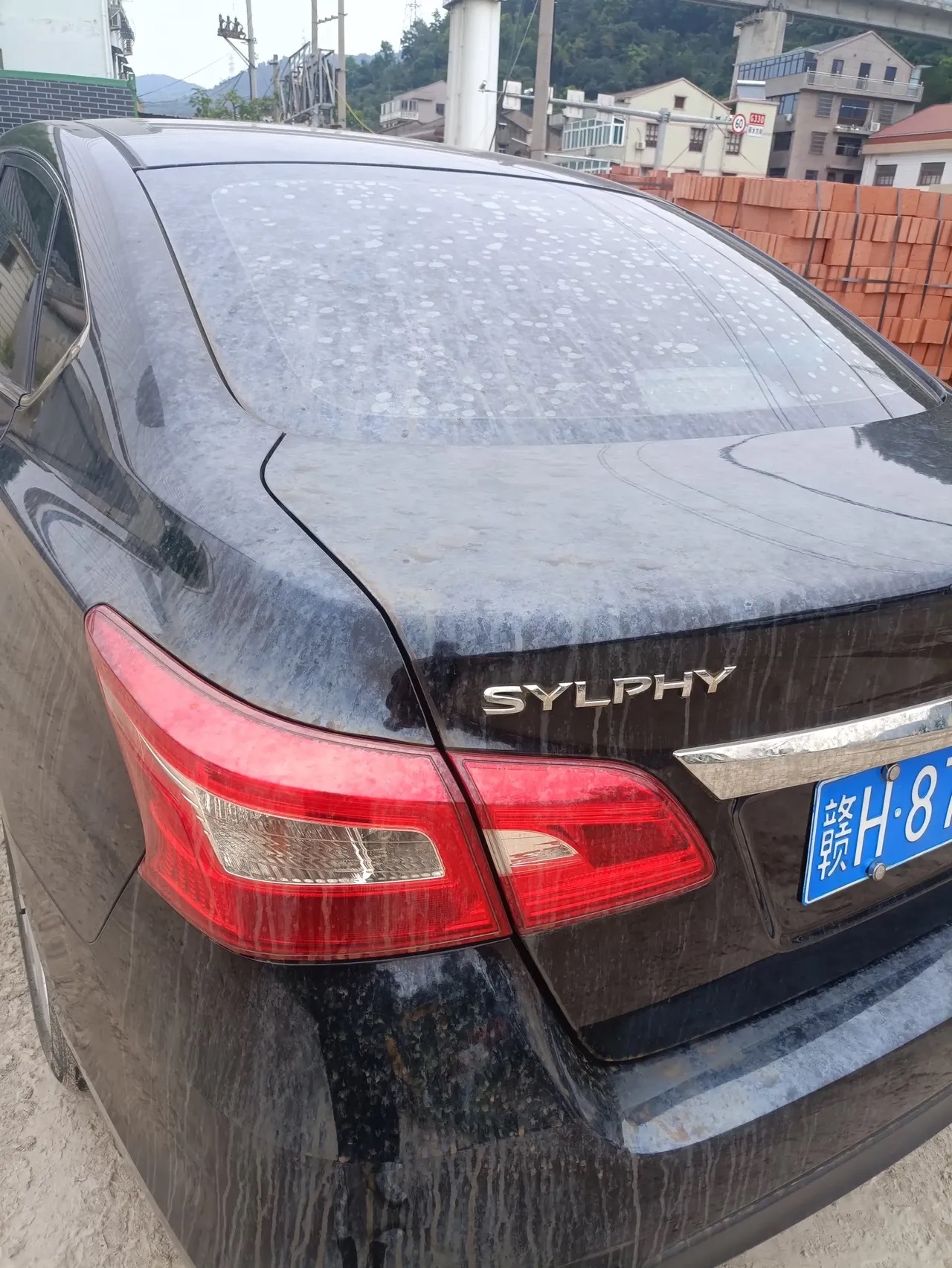 这几天温度太高我就把车停在铁路桥下今天过去开车车就这个样子了