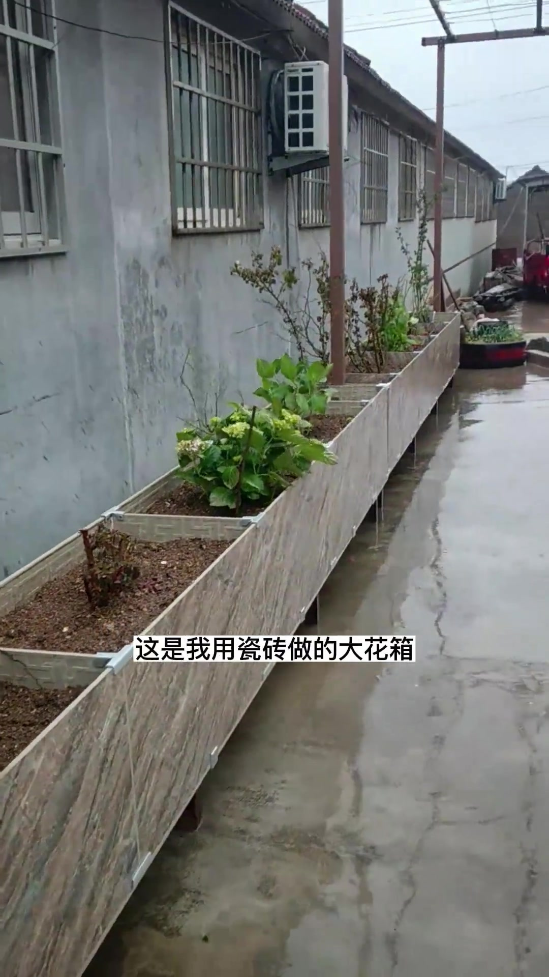 瓷砖花箱制作教程,快去试试吧