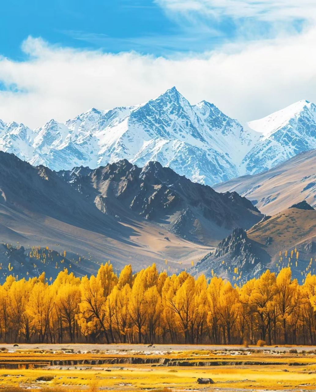 新疆-秋季喀纳斯 作为中国国家地理评出的国内十大秋景之首的喀纳斯