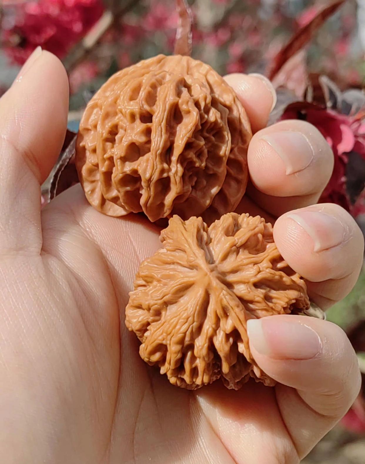 盘了十年的核桃你告诉我是个塑料