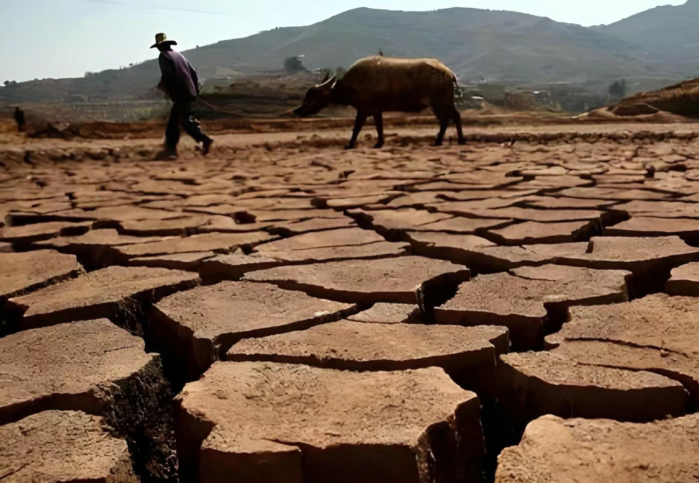 赣南土地 的温床 民生难题相关图片3