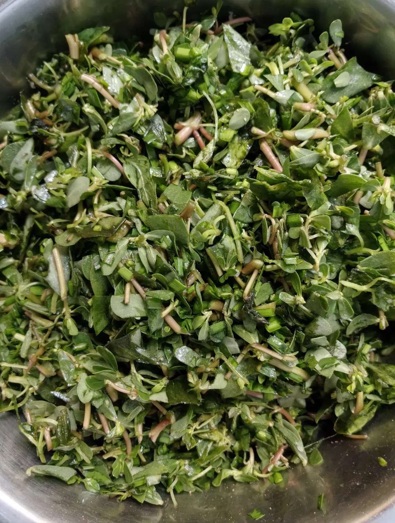 记得小时候我对马齿苋可是一点好感都没有总觉得那是喂猪的东西