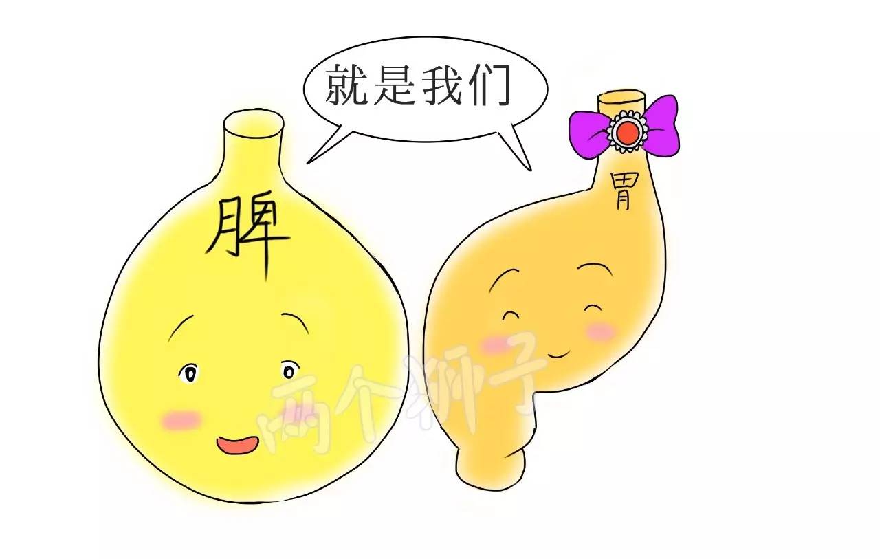 保护脾胃的方法