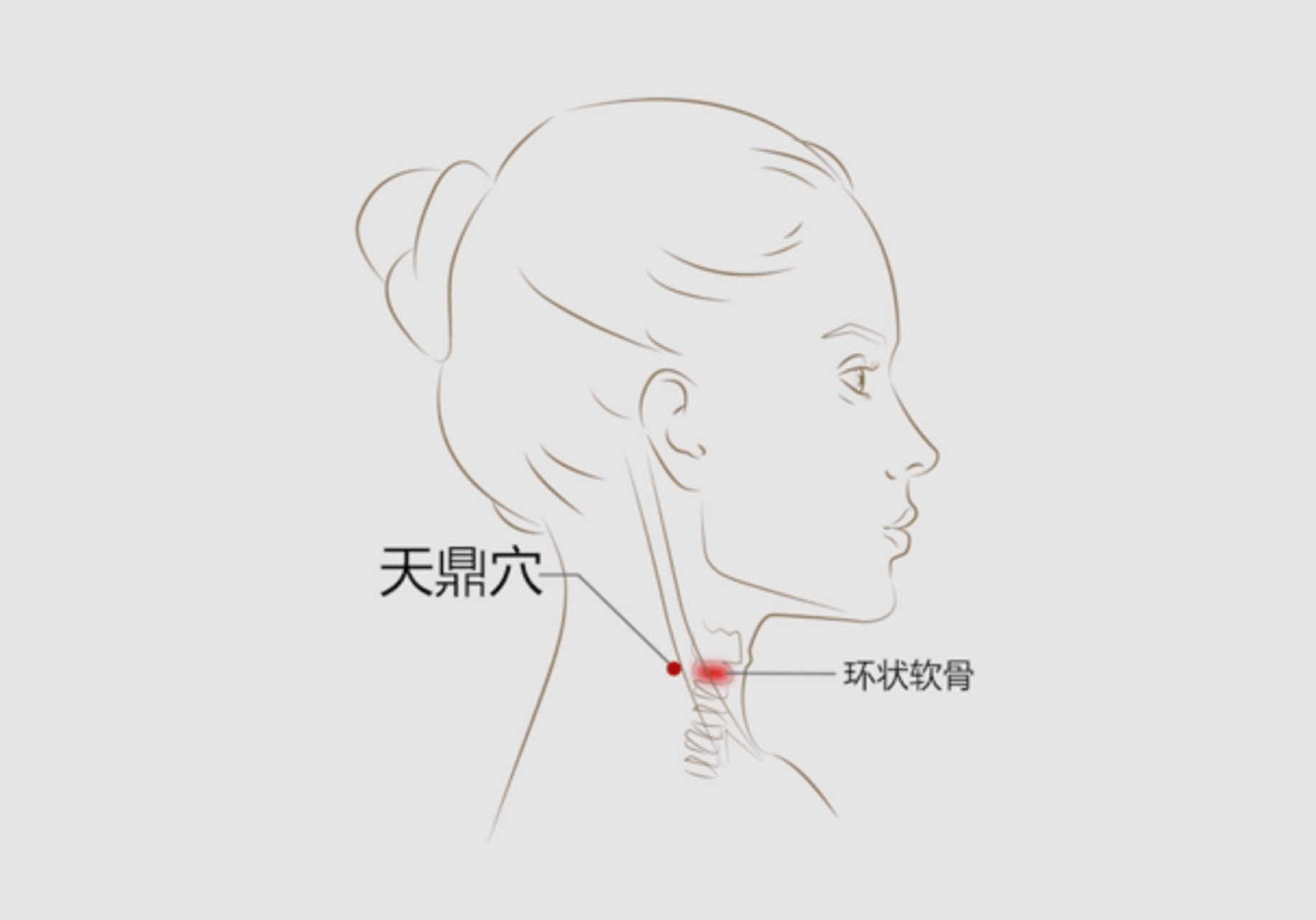 心蔽骨的准确位置图图片