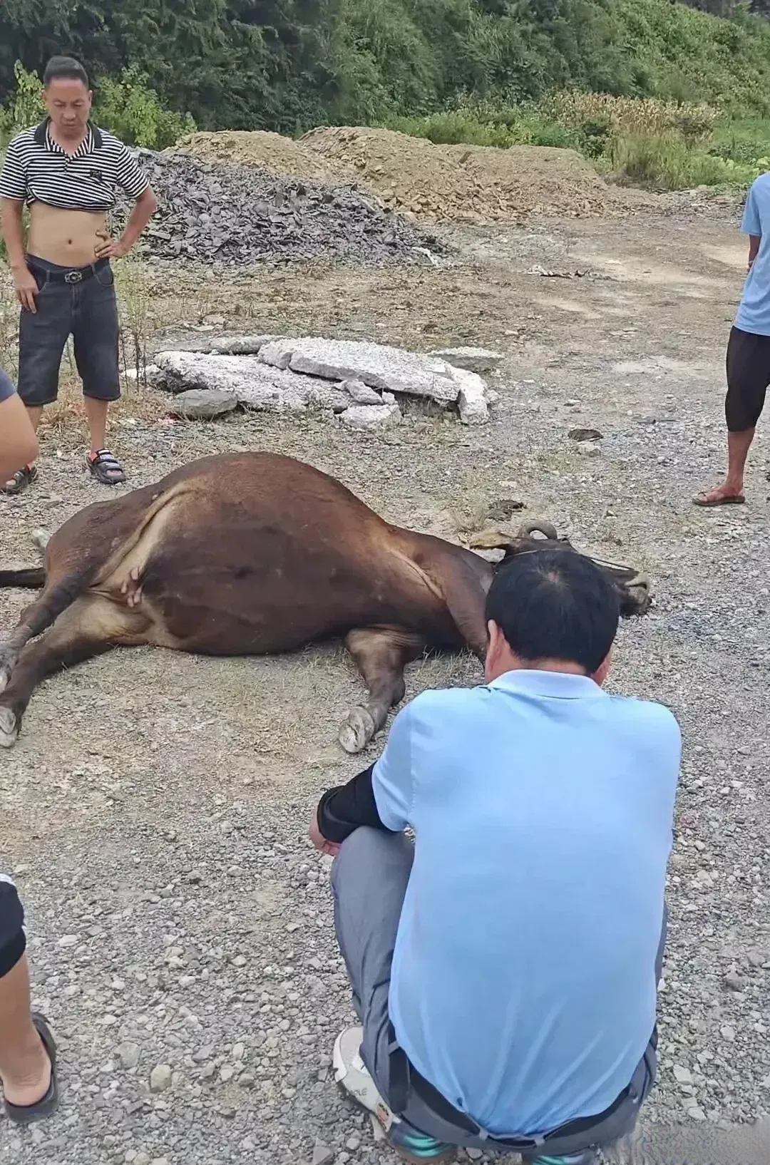 5万.钱给转过去我正准备走呢,结果被牛主人给拉住了,说事情还没完