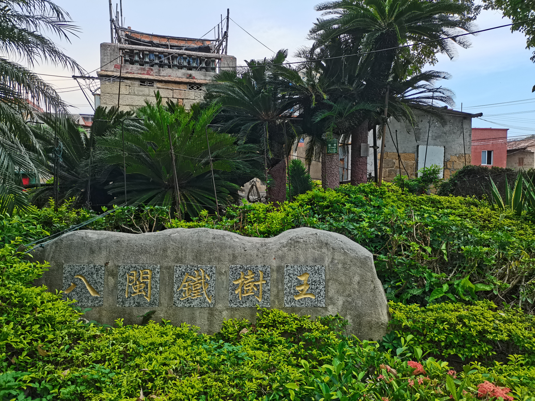 大嶝岛小嶝岛图片