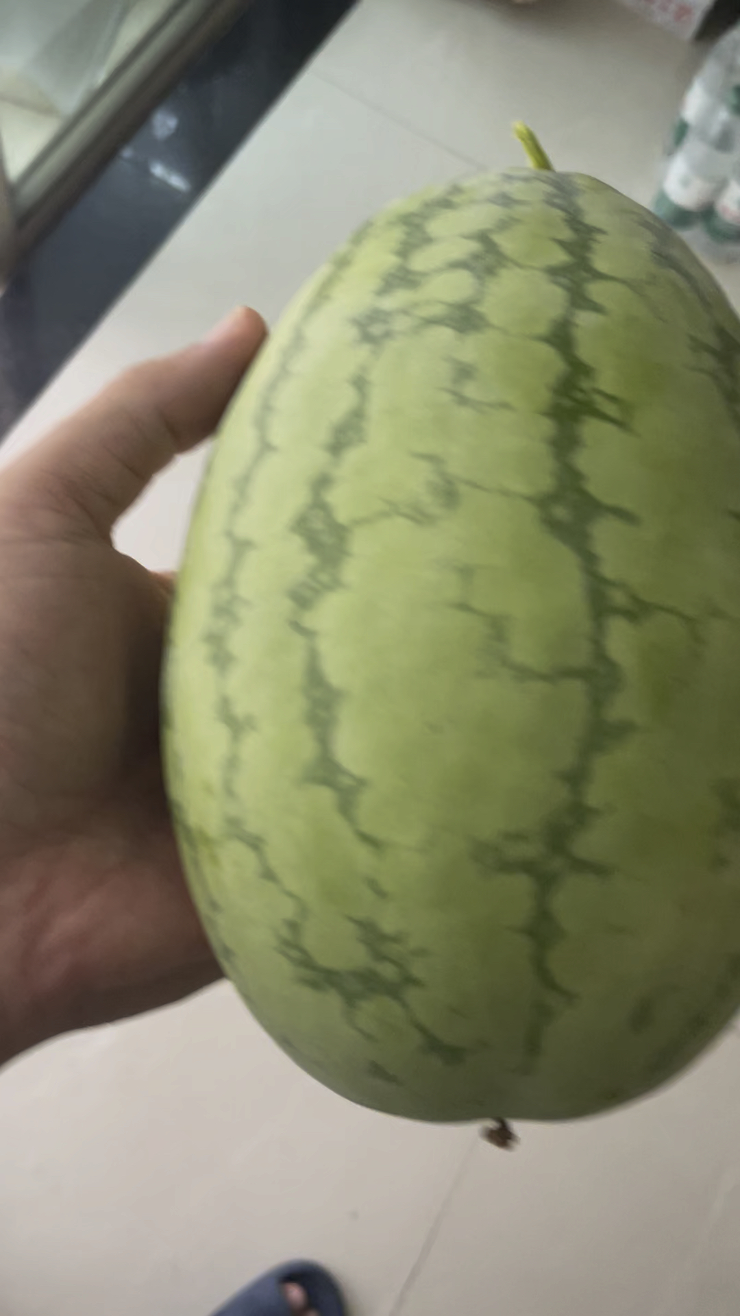 又摘了一个西瓜,估计是半生不熟