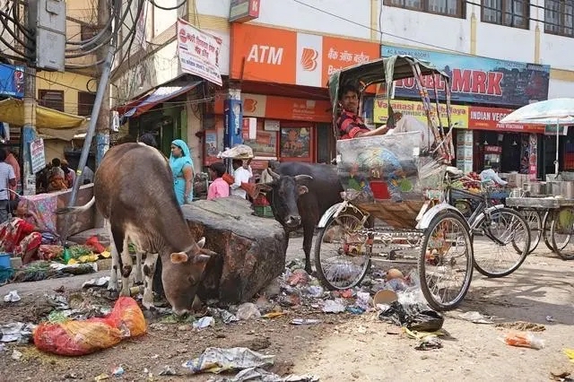 巴黎奥运一金未得,莫迪开始画大饼:印度将申办2036奥运会