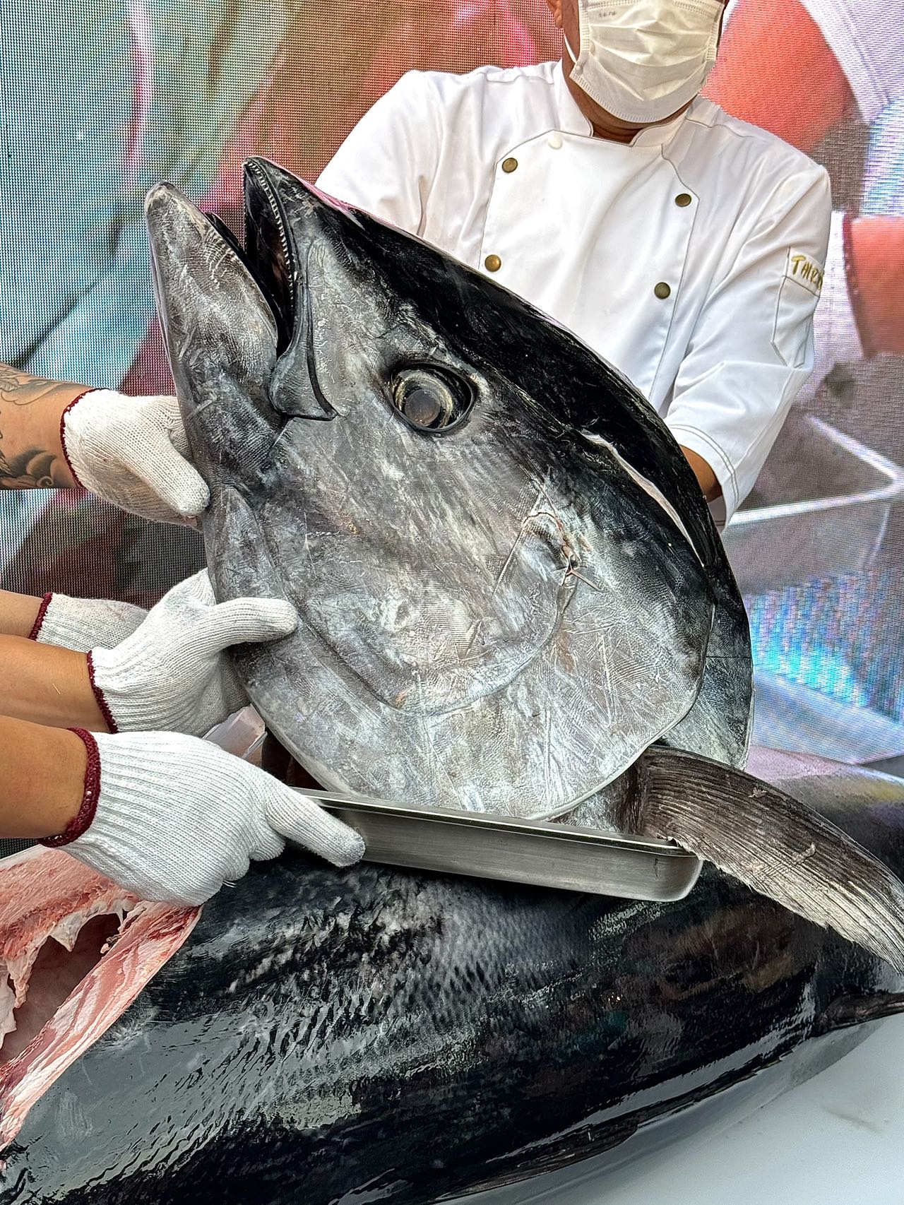 寻味庭院,美食艺术 , 太平角18号庭院美食艺术荟