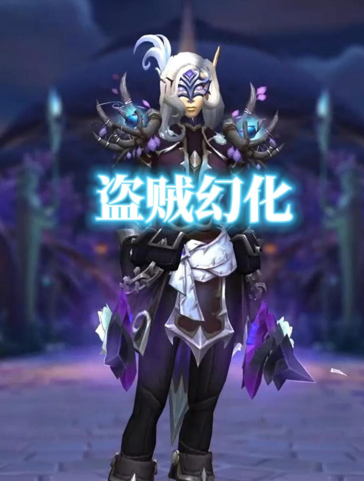 玫瑰刺客,魔兽世界盗贼幻化,附调料包