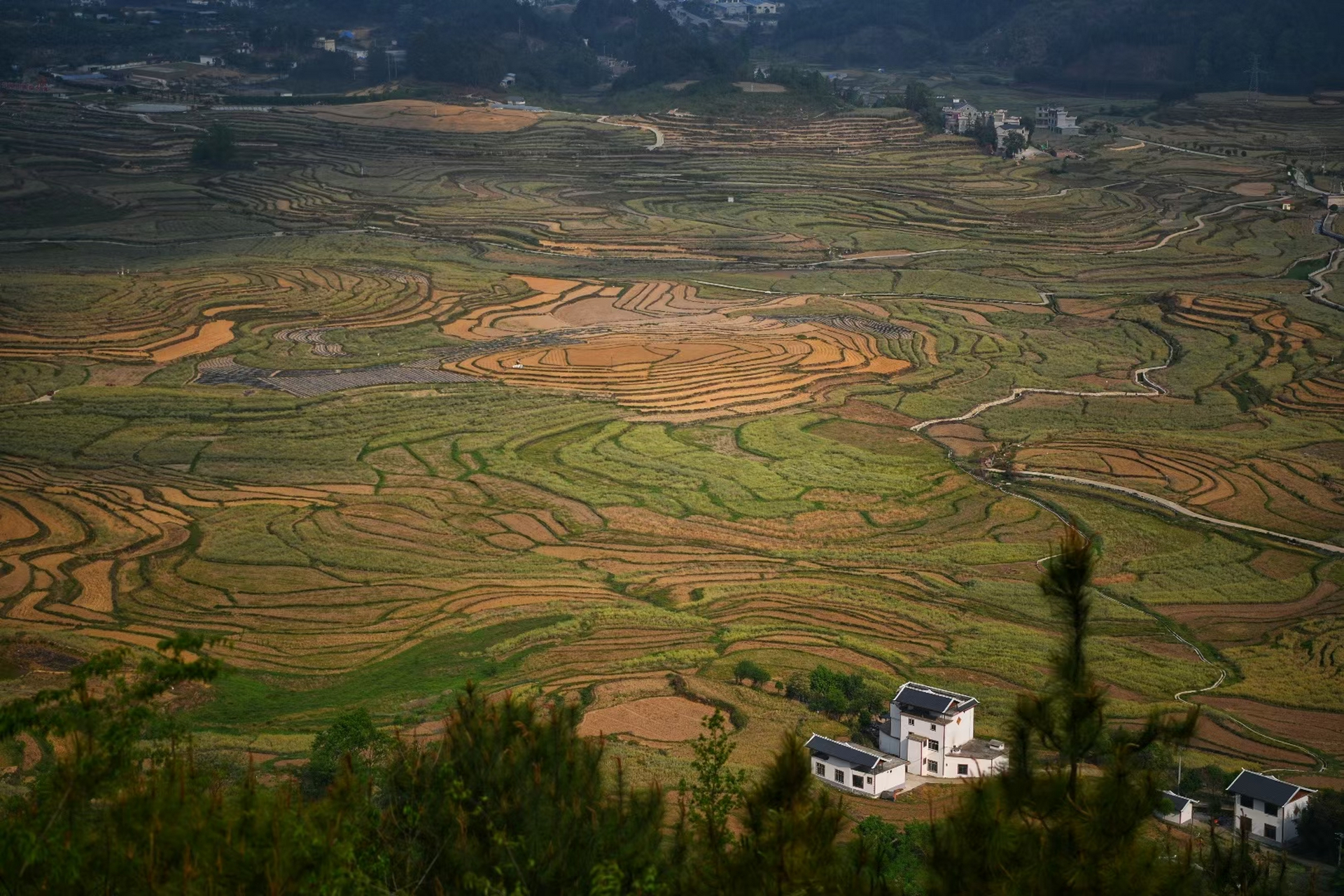 南丹巴平梯田观景点图片