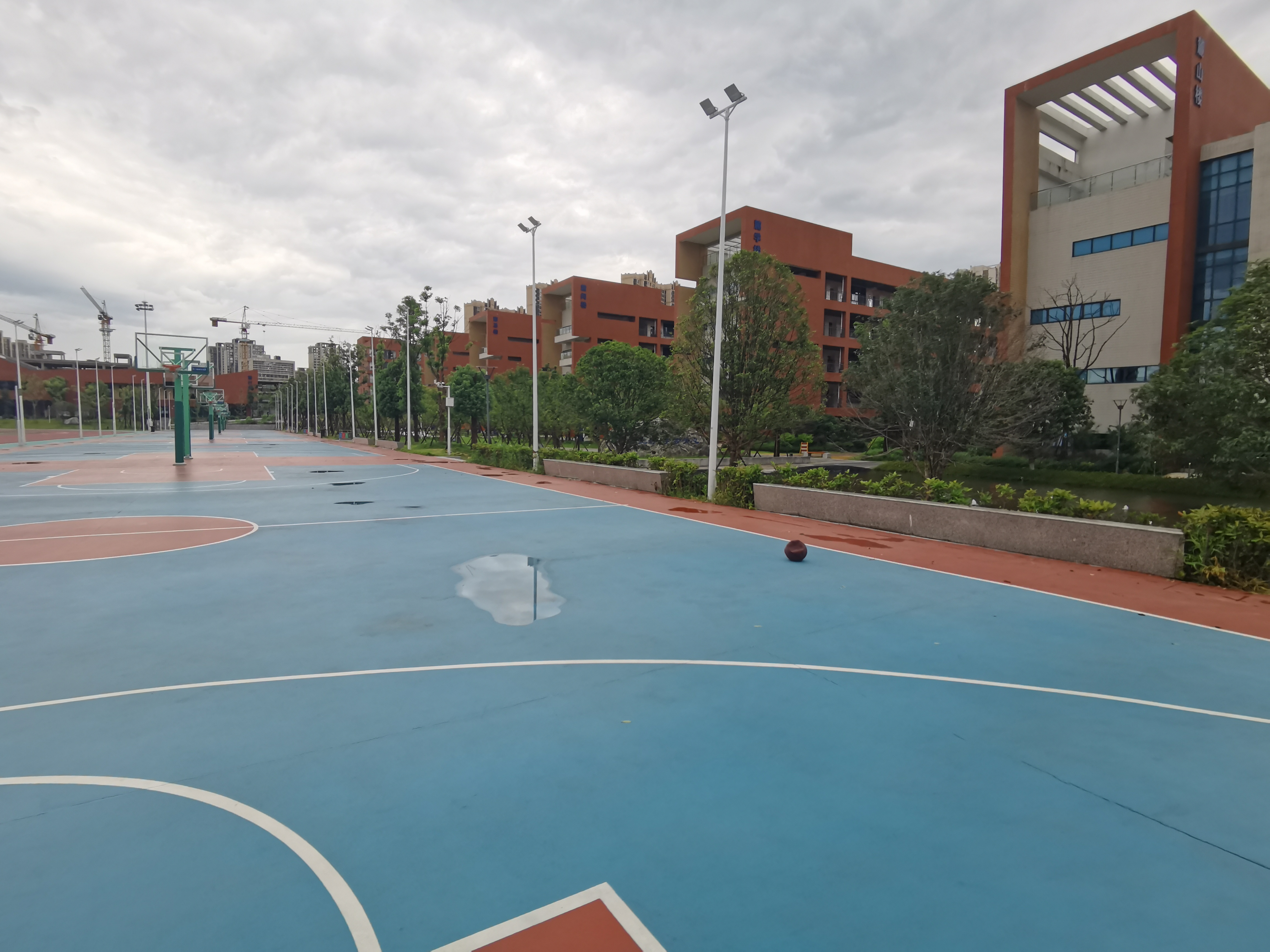 现象:为什么大部分中年人都在跑步?