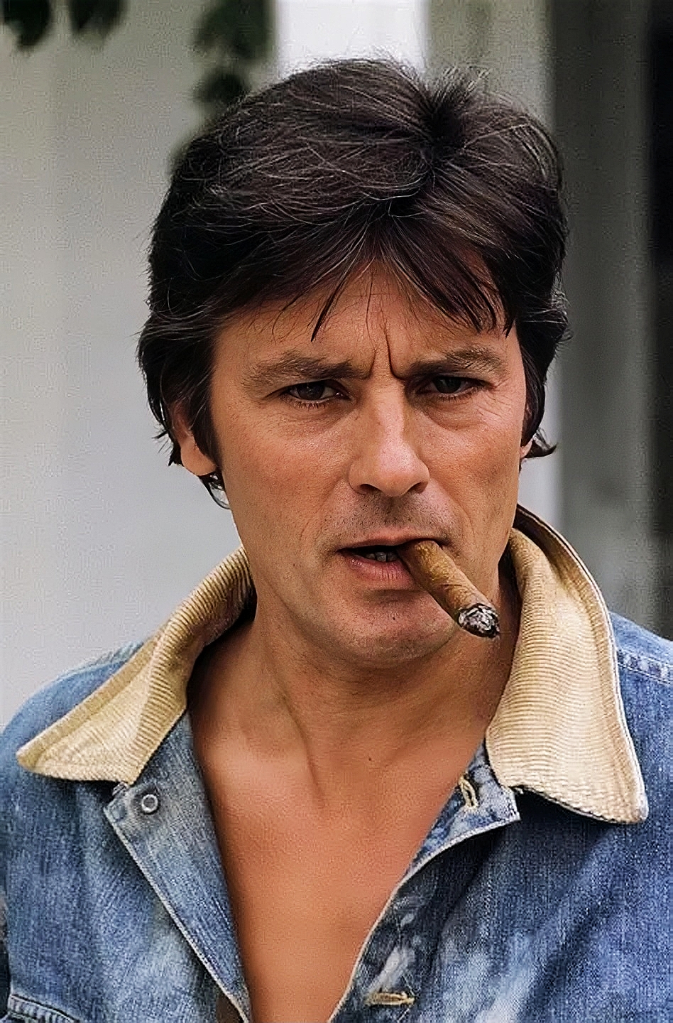 阿兰·德龙(alain delon,1935年11月8日——2024年8月18日),法国男