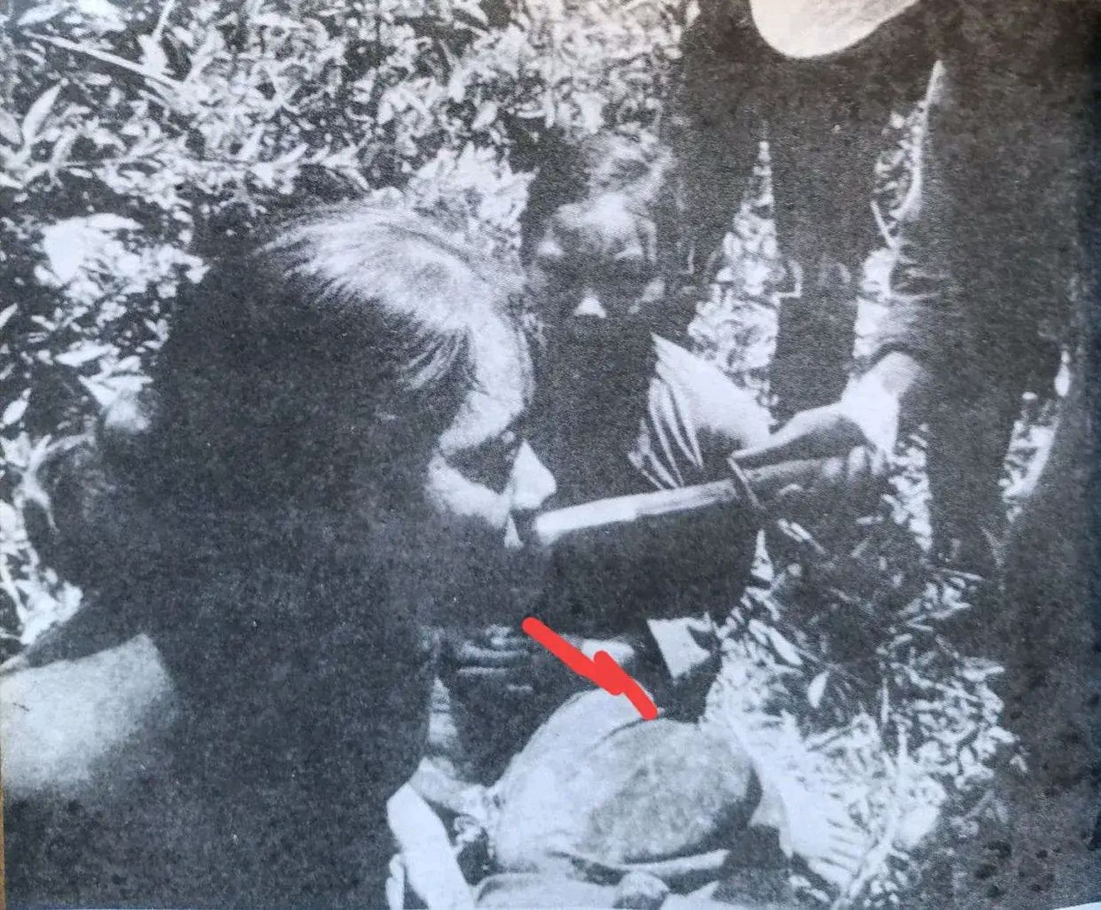 在越南战场上,两名北越女兵被南越士兵所俘虏