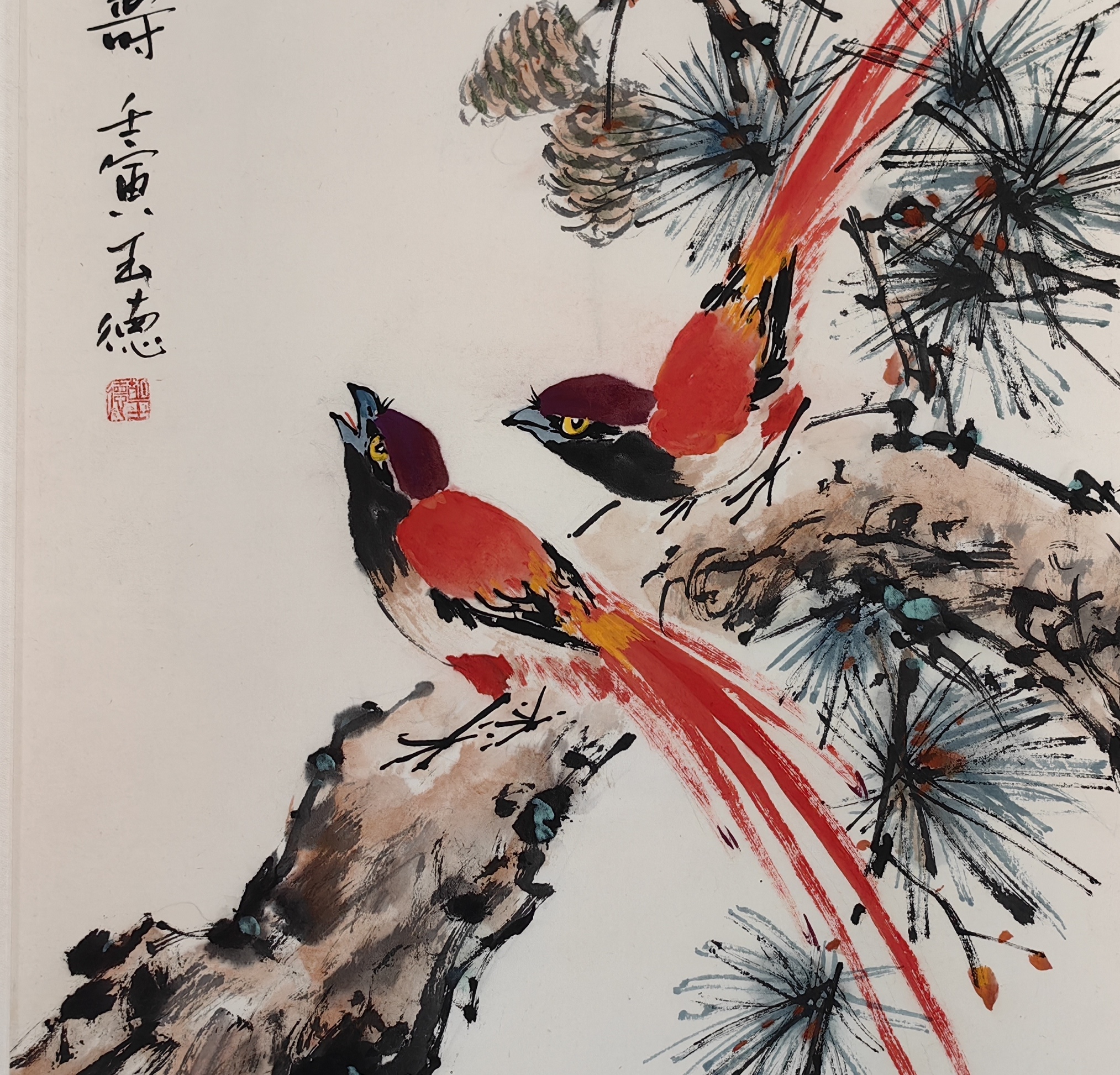 《双寿图》寿带鸟与松树小写意#动态连更挑战