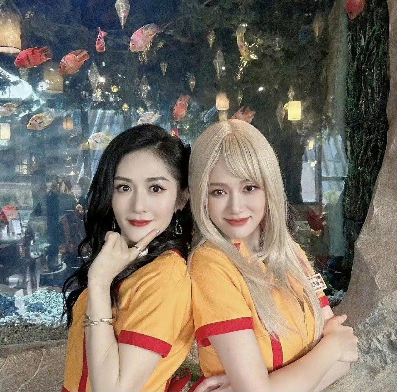 谢娜和陈乔恩cos破产姐妹,陈乔恩还像点样子,谢娜完全不沾边了.