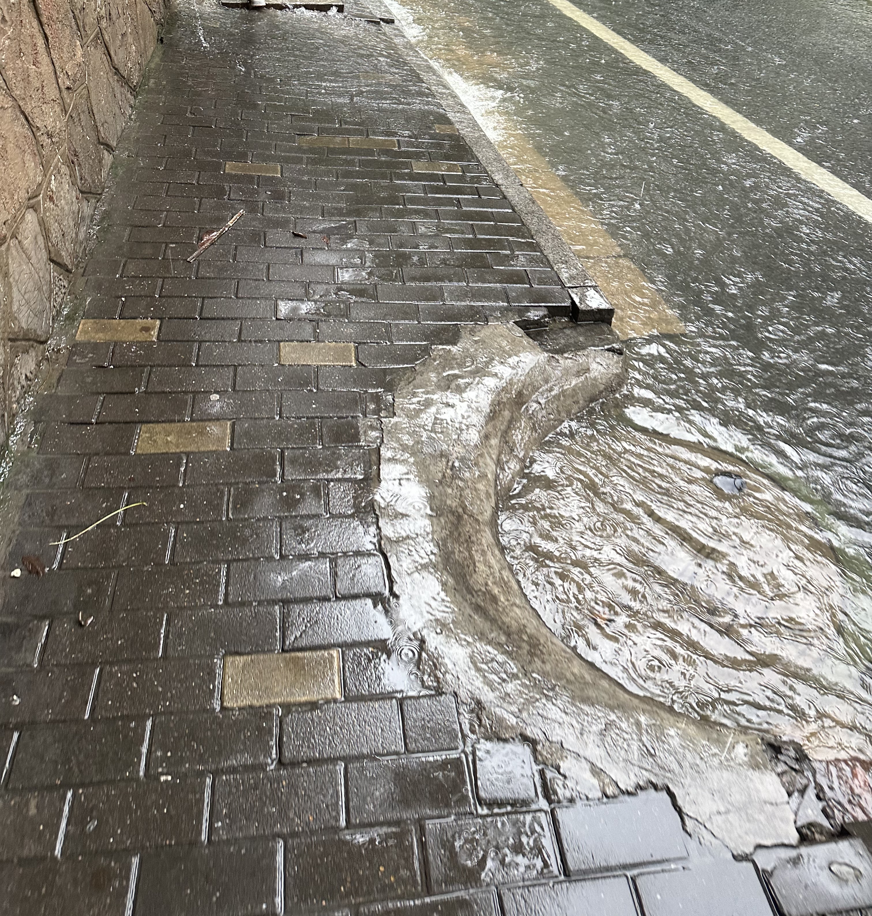 下雨路面积水影响行人 这是南京市广州路上清凉山公园墙外的一处下水
