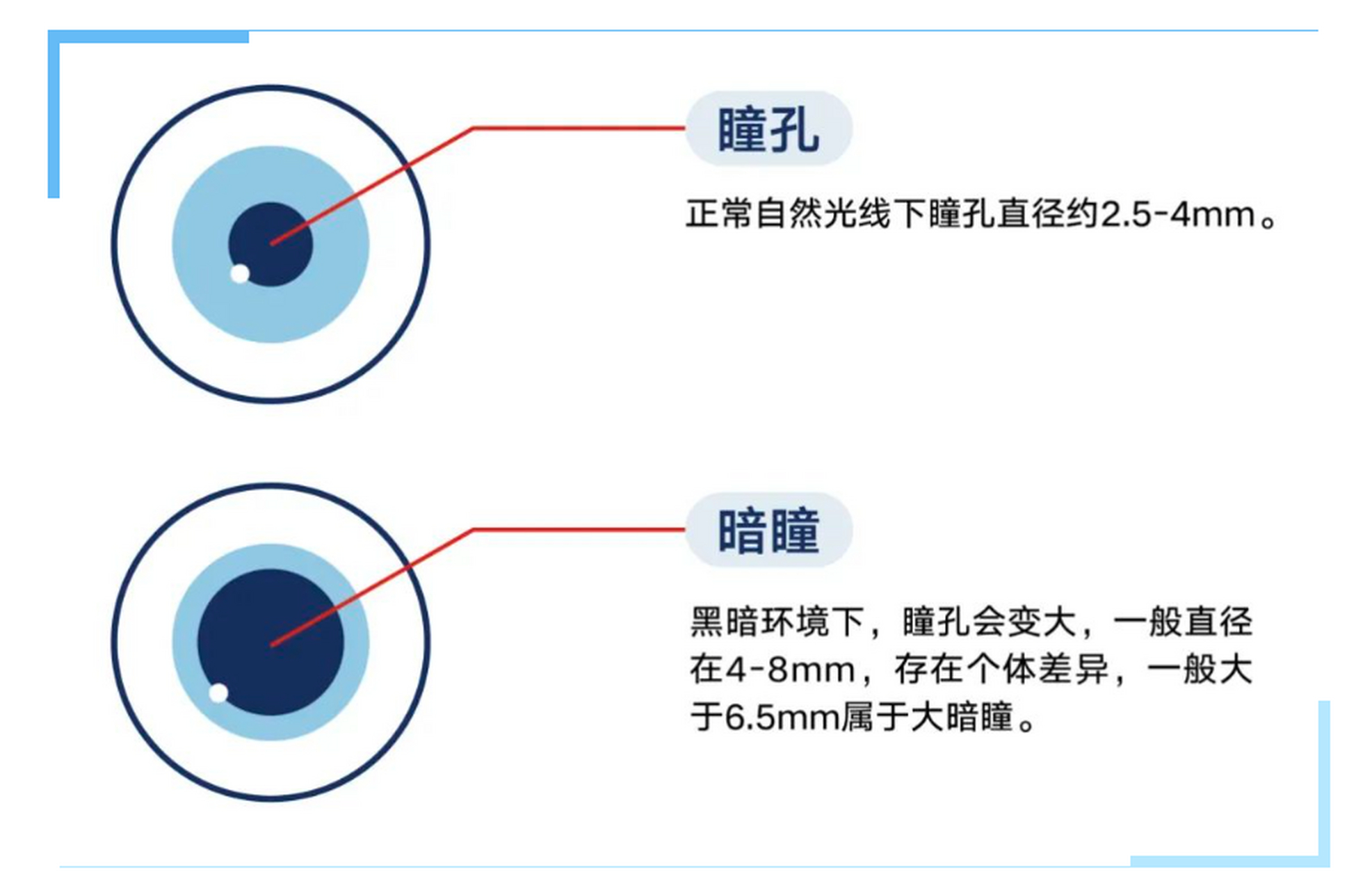 瞳孔大小并非一成不变,它与年龄,屈光状态,情绪状态,药物作用等因素