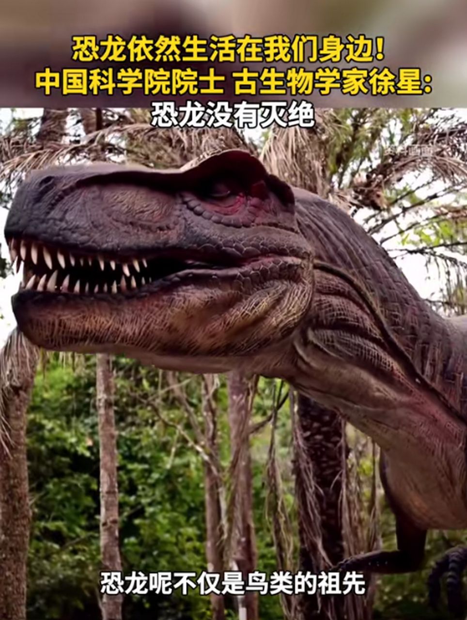 恐龙竟然没有灭绝?