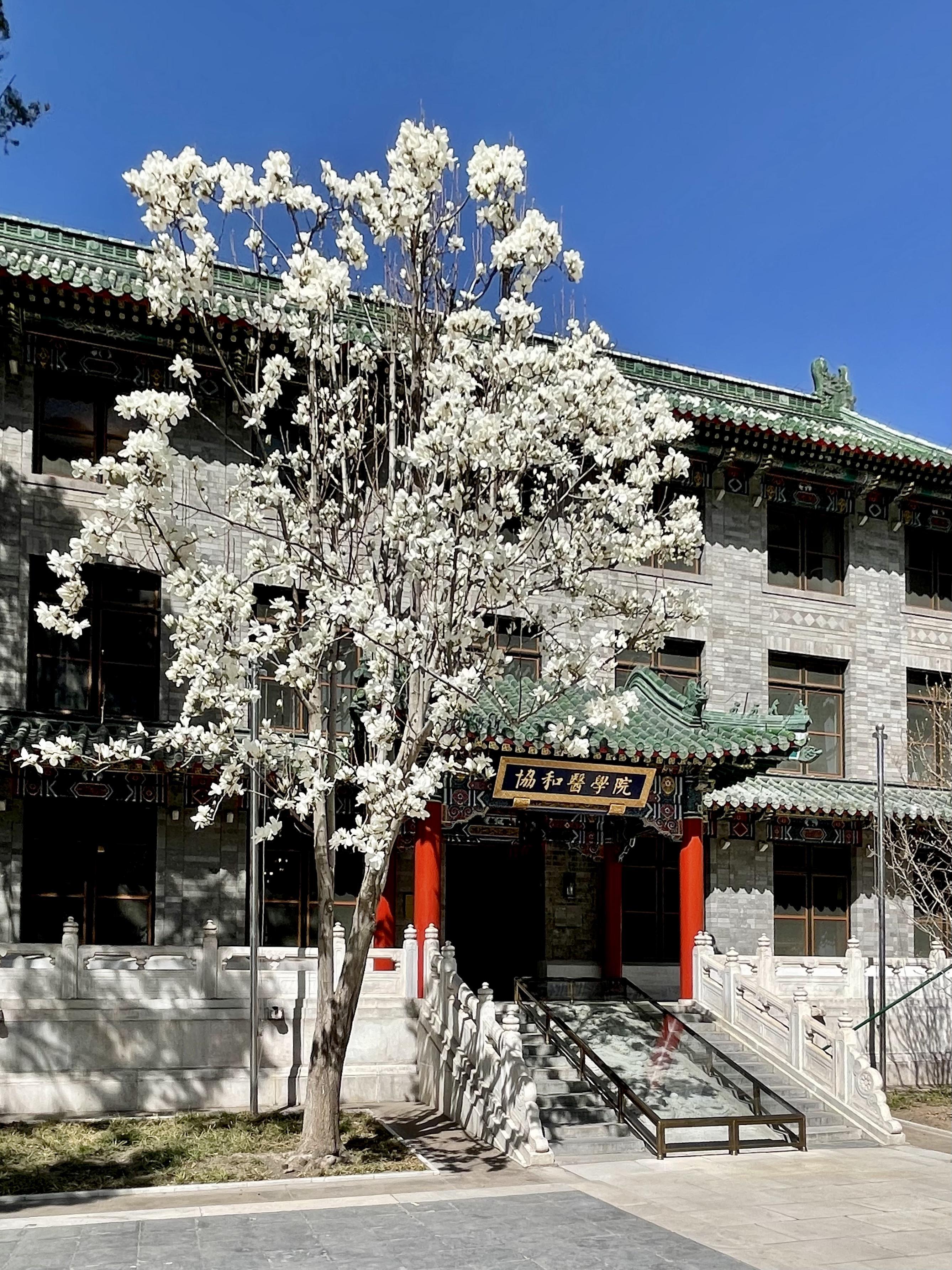 北京协和医学院正在深入整改 baijiahao.baidu.com
