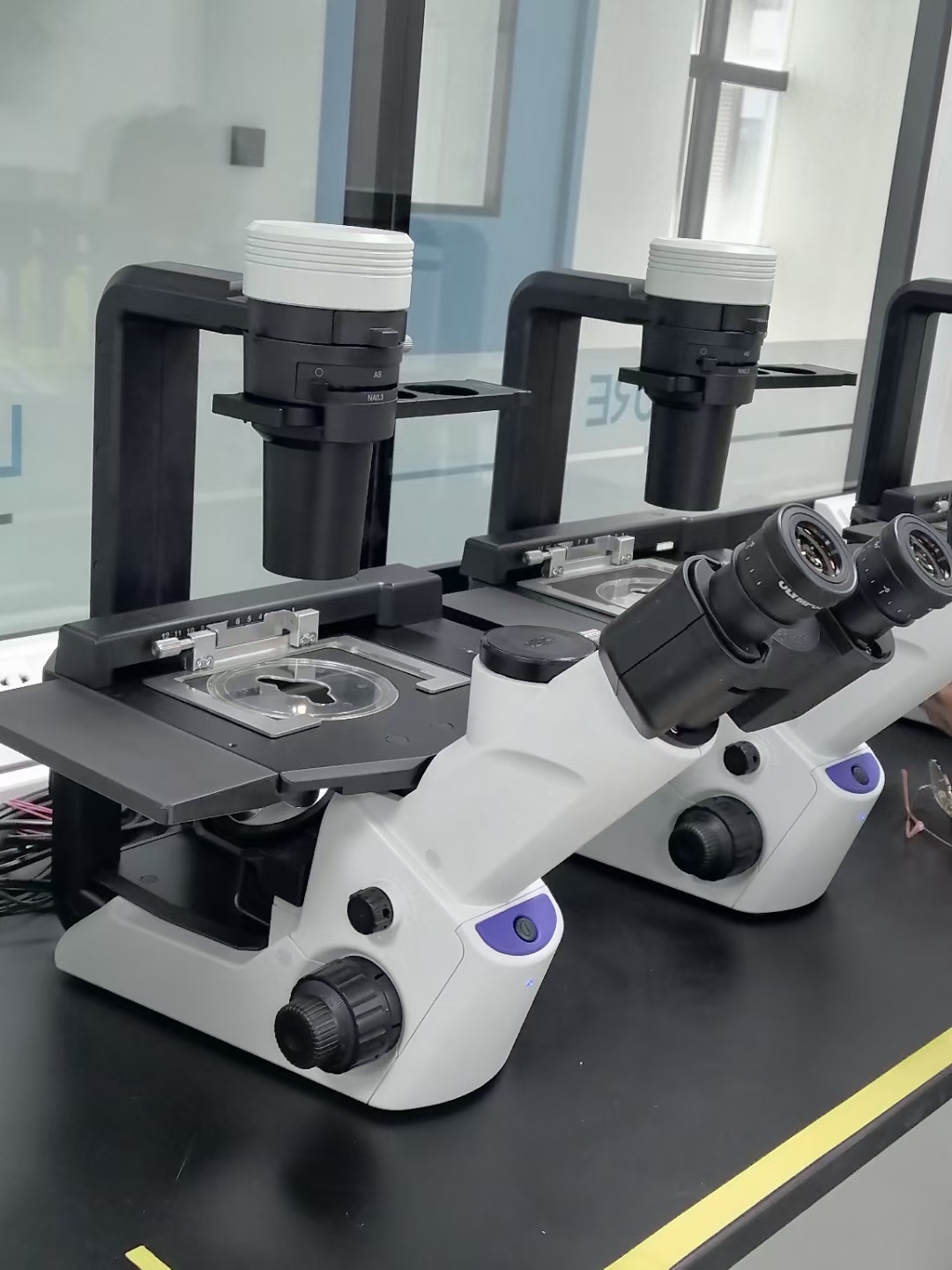 高中生物显微镜使用视频(高中生物显微镜知识点总结)